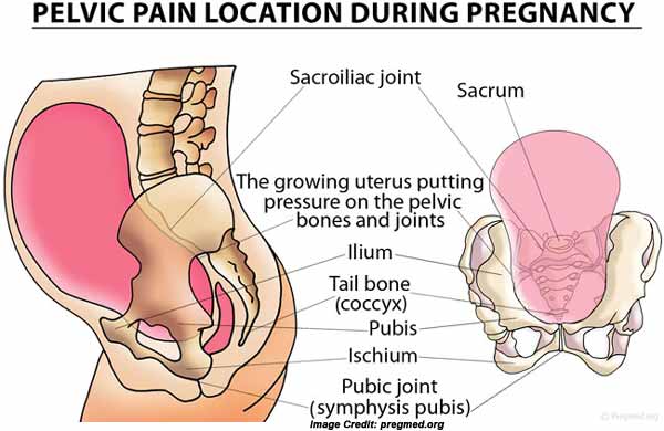 pelvic-girdle-pain-exercises-youtube